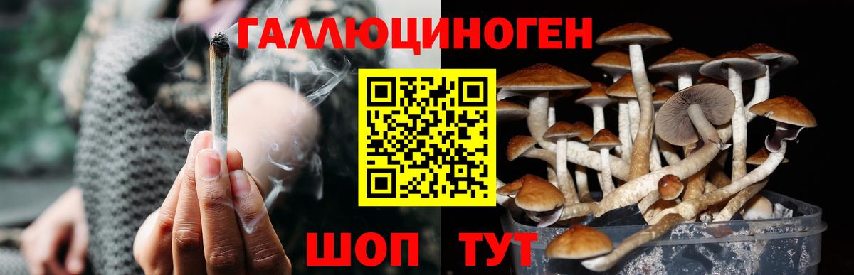 Муром  Галлюциногенные грибы прущие грибы  Вход с VPN 